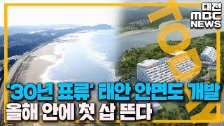 '30년 숙원' 안면도 개발 올해 '첫 삽'/대전MBC