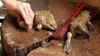 How to cook live frogs-Chinatown Kuala Lumpur-Traditional Chinese Style