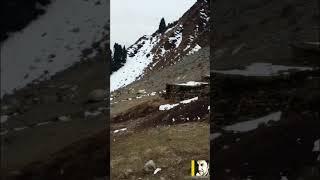 Hussain Mela Luqmankhel Parachinar #nature #parachinarbeauty #snow #mountains
