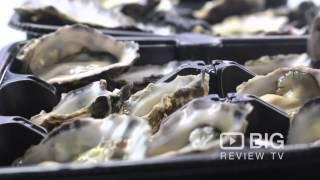 Harbourside Fish Market in Sydney selling fresh Oyster and Fish