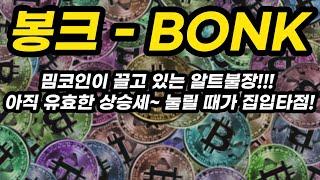 봉크 - BONK 투자포인트│밈코인이 끌고 있는 알트불장!!! 아직 유효한 상승세~ 눌릴 때가 진입타점!