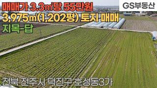 [전주토지매매] 덕진구 호성동3가 3,975㎡(1,202평) 토지 매매 (물건번호1541번)