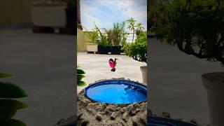 Creative Water Park Jump Video Story idea #shorts