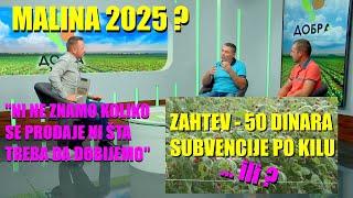 MALINARI - da li iko ZNA ŠTA SE DEŠAVA ??!  Da li se poštuje dogovor  60:40 - ima li MALINE 2025. ?