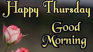 Good morning friday images  !! Best good morning flowers images