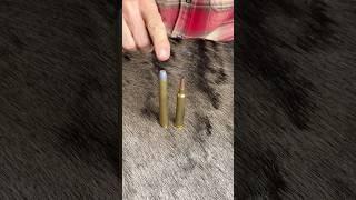 Lighter Bullets Hit Harder ?