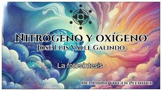 NITRÓGENO Y OXÍGENO: Los heraldos de la existencia.