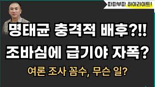 명태균 타겟은 따로 있었다?![따배라]