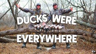 Texas Public Land Duck Hunting | LIMITED OUT!