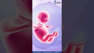 International Family Day 2025 | IVF Makes Families Possible | VishwaRaj Hospital