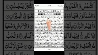 Surah Rahman سورۃالرحمن|Emotional Healing Recitation With Calm Lofi Voice #quranforsleep #youtube