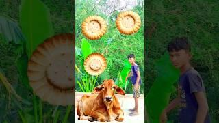 Grounding video cufe cow,, beffow,, goat,, ,, vfx, #shot , #video,, VFX, #shot,