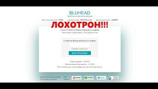 Bluhead.site — отзывы о заработке на просмотре рекламы. Лохотрон?