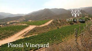 Patz & Hall: Pisoni Vineyard, Santa Lucia Highlands