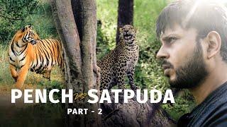 सर्वश्रेष्ठ टाइगर रिजर्व: पेंच और सतपुड़ा का रोमांचक मुकाबला? | Pench Vs Satpura tiger reserve