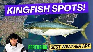 KINGFISH Spots! Where to catch them!