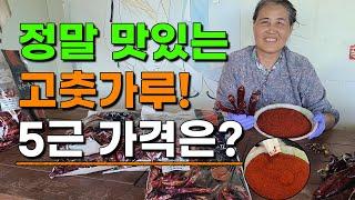 색깔 좋고 맛있는 고춧가루 저렴하게 판매합니다 5근 가격은? 5근 이상 무료배송 건고추 고추재배 고추시세 고춧가루 시세