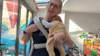 Koala Babycare Cuddleband carrier Tutorial - how to carry a newborn