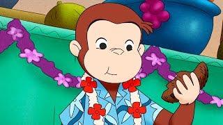 Curious George Monkey Mystery Gift Kids Cartoon  Kids Movies Videos for Kids