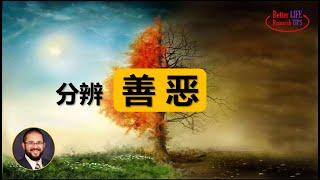 19. 我们如何分辨善恶，美德和道德的区别 | 判断是非善恶的三个伦理学原则 | 为什么我们要更多地提倡美德，而不是道德? | 北美老劉Dr. Liu ResearchTIPS