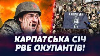 МІЦНА ОБОРОНА "КАРПАТСЬКОЇ СІЧІ"! Ворог ЗАВАЛЮЄТЬСЯ ПІД УДАРАМИ!