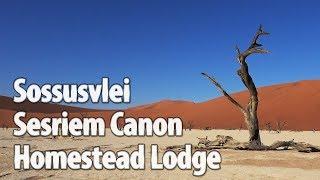 Namibia Part11: From Swakopmund to Sossusvlei/Deadvlei/Sesriem Canyon/Homestead Lodge