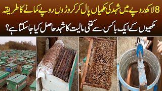 8 Lakh Rupaye Se Honey Bees Paal Kar Croron Kamane Ka Tariqa