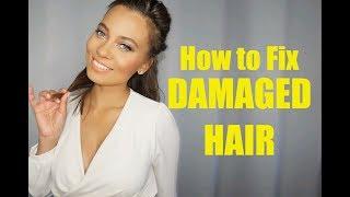 HOW TO REPAIR DAMAGED HAIR | OLAPLEX? | PRO TIPS! | Brittney Gray