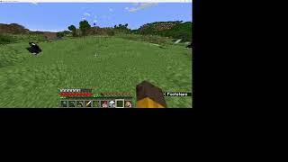 minecraft village Goal