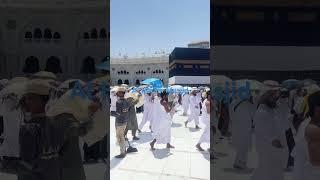 Hajj 2025 Al Haram Musjid  #hajj2025 #haramsharif #mecca