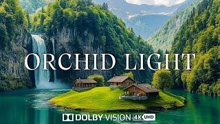 Orchid Light - Epic Cinematic Music 4K