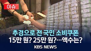 [이슈] 당정 "추경 통해 전 국민에 소비쿠폰…소상공인 부채 탕감"/2025년 6월 18일(수)/KBS