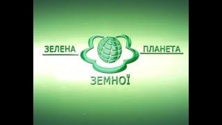 Як зміцнити імунітет. Поради від Наталії Земної. Зелена планета