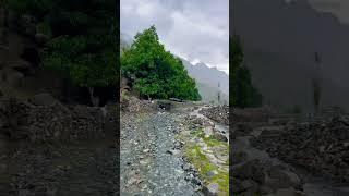 The Most Beautiful & Dangerous Road Of Kargah Valley️#travel #zeeshan #automobile #youtubeshorts