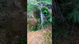 part 2.mga nakuha sa ilalim ng dig site. @BISDAK TREASURE HUNTER