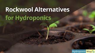 Rockwool Alternatives as Hydroponic Growing Medium | Hydroponic Way