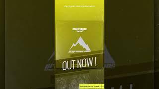 Javi d Vogue - The Life [Progressive Vibes Light - PVM797L]