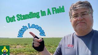 Outstanding in a Field / With LooneyFarmGuy