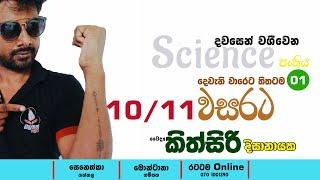 දෙවැනි වාරෙට, විද්‍යාවට 90+ || විශේෂ ප්‍රශ්ණ පත්‍ර සාකච්ඡාව || 10/11 ශ්‍රේණිය || 2024