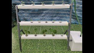 DIY Hydroponics : Easy Way To Build Your Own Hydroponic System At Home.