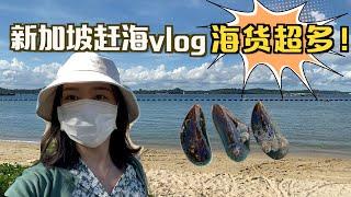 【新加坡赶海2.0】抓到了鲍鱼？超多海货！超过瘾 | Pasir Ris Beach | 风景超美