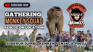 SI BERUK JUMBO KENKEN IKUT CAMPING