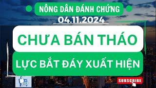 Chứng khoán hôm nay / Nhận định thị trường : Chưa bán tháo - Vùng đáy uy tín ?