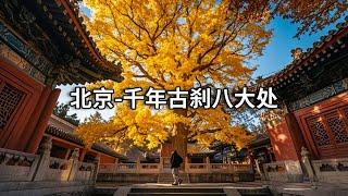 北京赏秋之旅～重游千年古刹八大处，在800年古树下静思【行走世界的北京老刘】