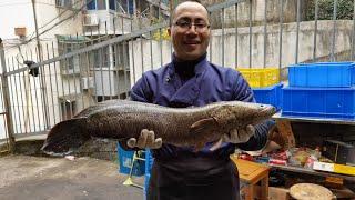 【廚小刀美食】飯店後廚上演人魚大戰，10斤重的大黑魚在大廚手裡也只能乖乖就擒