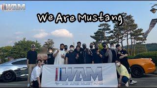 W.A.MㅣWe.Are.Mustangㅣ2022년 5월 정모