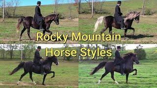 The ROCKY MOUNTAIN HORSE STYLES