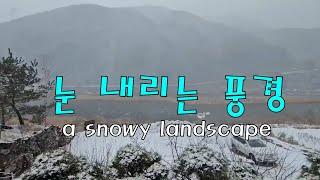 동강 눈 내리는 풍경  a snowy landscape in the middle of the river