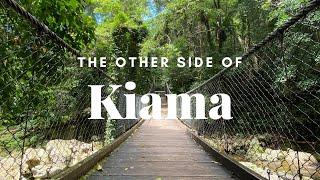 Best Weekend Day Trip from Sydney: KIAMA | Minnamurra Rainforest & Cathedral Rocks