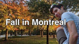 A Day in Montreal (picnic, beer, fall vibes)